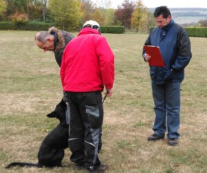 Foto: Sandra Schwarz