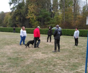 Foto: Sandra Schwarz