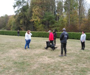 Foto: Sandra Schwarz