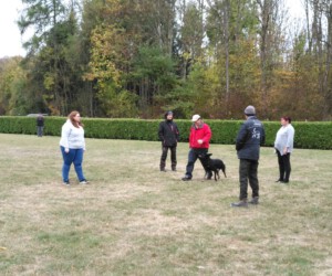 Foto: Sandra Schwarz