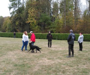 Foto: Sandra Schwarz