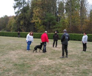 Foto: Sandra Schwarz