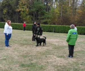 Foto: Sandra Schwarz