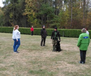 Foto: Sandra Schwarz