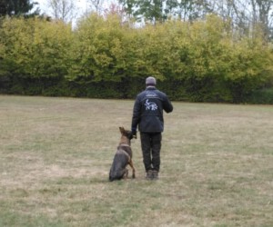 Foto: Sandra Schwarz