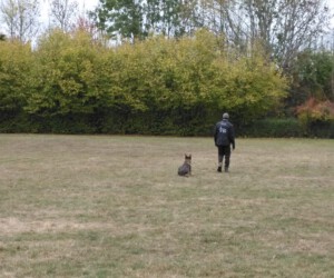 Foto: Sandra Schwarz