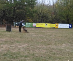 Foto: Sandra Schwarz