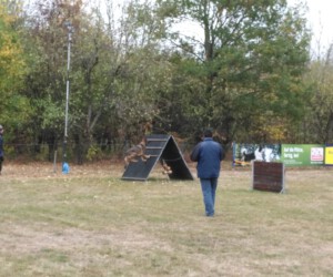 Foto: Sandra Schwarz