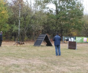 Foto: Sandra Schwarz