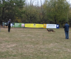 Foto: Sandra Schwarz