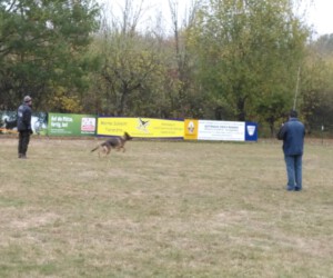 Foto: Sandra Schwarz