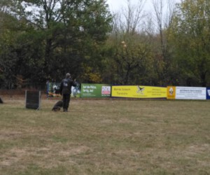 Foto: Sandra Schwarz