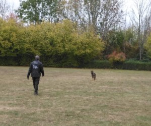 Foto: Sandra Schwarz