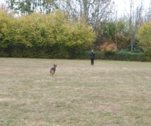 Foto: Sandra Schwarz