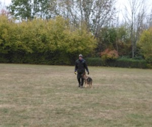 Foto: Sandra Schwarz