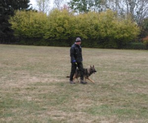 Foto: Sandra Schwarz