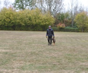 Foto: Sandra Schwarz