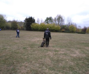 Foto: Sandra Schwarz