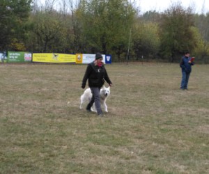 Foto: Sandra Schwarz