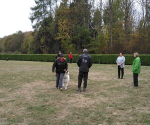 Foto: Sandra Schwarz