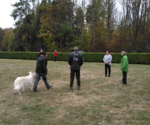 Foto: Sandra Schwarz