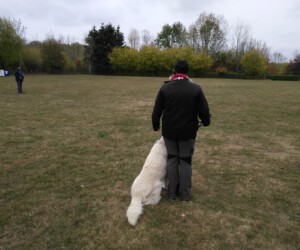 Foto: Sandra Schwarz