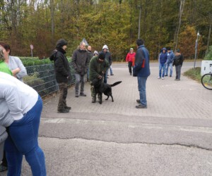 Foto: Sandra Schwarz