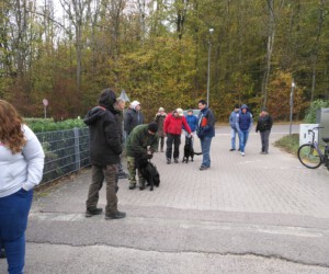 Foto: Sandra Schwarz