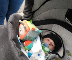 Foto: Sandra Schwarz