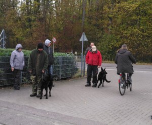 Foto: Sandra Schwarz