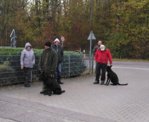 Foto: Sandra Schwarz