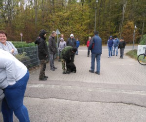 Foto: Sandra Schwarz