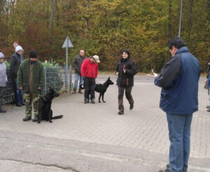 Foto: Sandra Schwarz