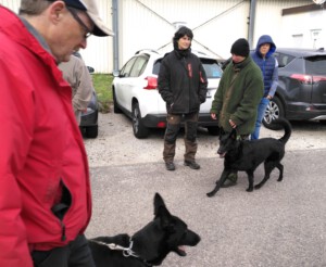 Foto: Sandra Schwarz