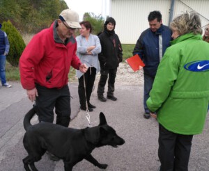 Foto: Sandra Schwarz