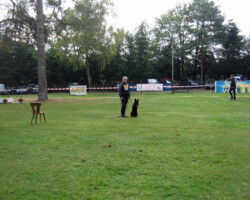 Foto: Stefan Lehnert
