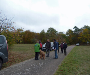 Foto: Stefan Lehnert