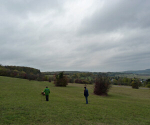 Foto: Stefan Lehnert