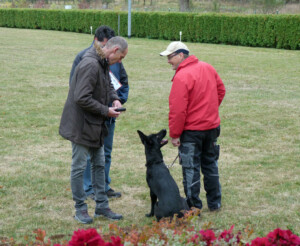 Foto: Stefan Lehnert