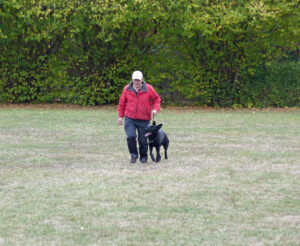 Foto: Stefan Lehnert