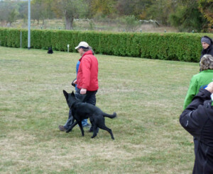 Foto: Stefan Lehnert