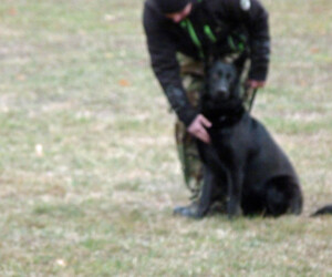 Foto: Stefan Lehnert