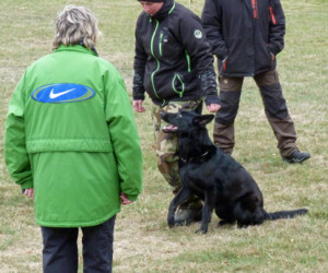 Foto: Stefan Lehnert