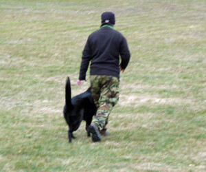 Foto: Stefan Lehnert