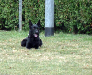 Foto: Stefan Lehnert