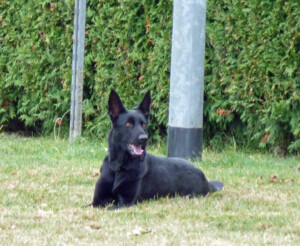 Foto: Stefan Lehnert