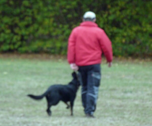 Foto: Stefan Lehnert