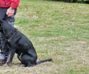 Foto: Stefan Lehnert