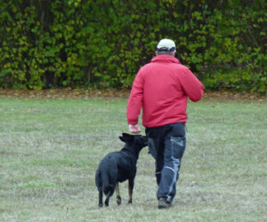 Foto: Stefan Lehnert