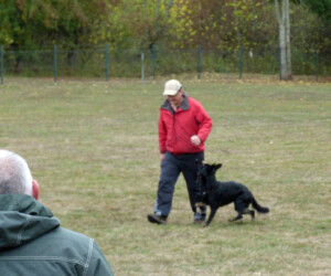 Foto: Stefan Lehnert